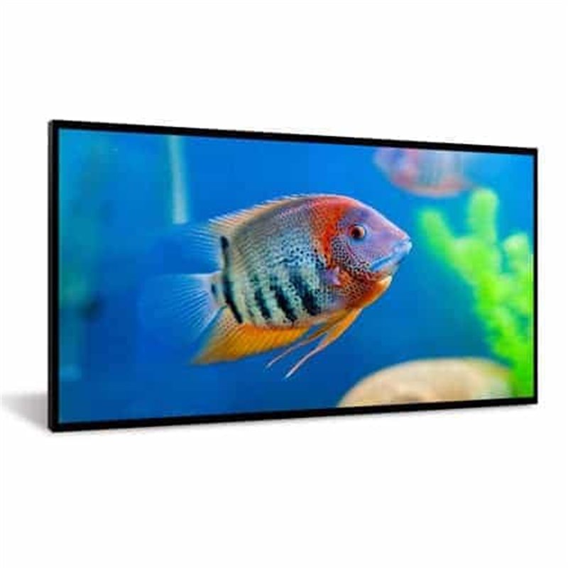 DynaScan 55″ display - High Brightness Fanless LCD with Narrow Bezel