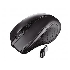 Cherry MW 3000 - Wireless Optical Mouse 