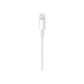 Apple Lightning cable - Lightning / USB - 0.5m