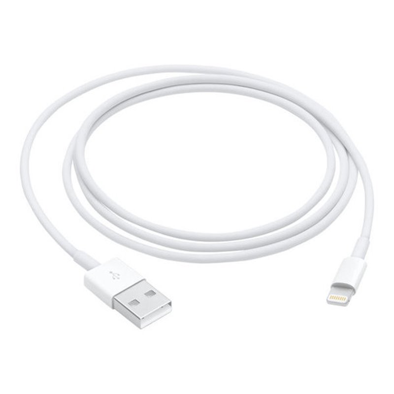 Apple Lightning cable - Lightning / USB 2.0 - 1 m Retail