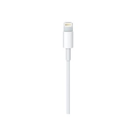 Apple Lightning cable - Lightning / USB 2.0 - 1 m Retail