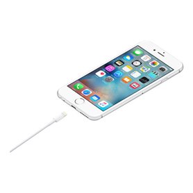 Apple Lightning cable - Lightning / USB 2.0 - 1 m Retail