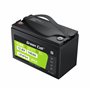 Green Cell CUBE LiFePO4 100Ah 12.8V 1280Wh Lithium Iron Phosphate Battery for Photovoltaics, Caravans, Boats
