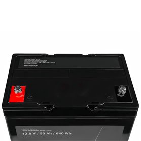 Green Cell LiFePO4 Battery 12V 12.8V 50Ah for photovoltaic system, campers and boats