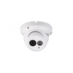 Foscam FI985 3EP - IP security camera - outdoor