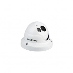 Foscam FI985 3EP - IP security camera - outdoor