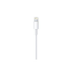 Apple Lightning to USB A cable - 2m